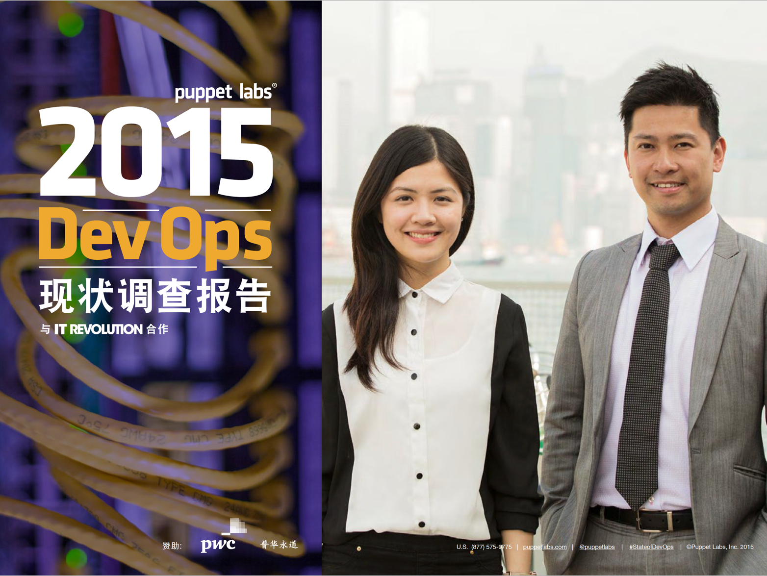 2015 DevOps 现状调查报告